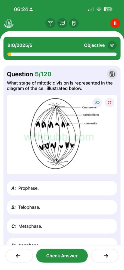 BrainBoost Feature 19