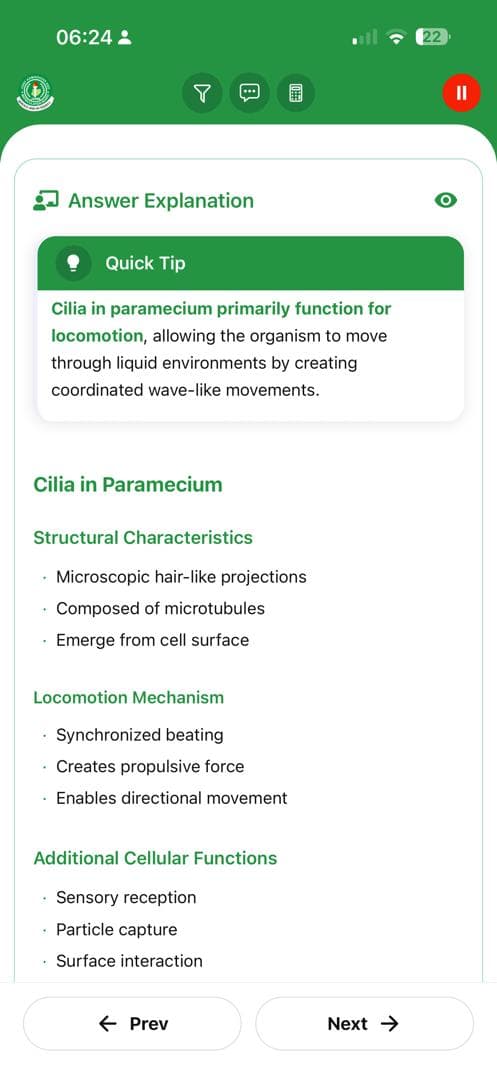 BrainBoost Feature 22