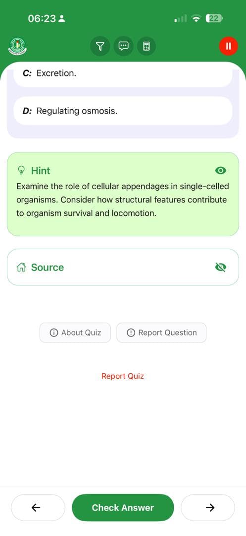 BrainBoost Feature 23
