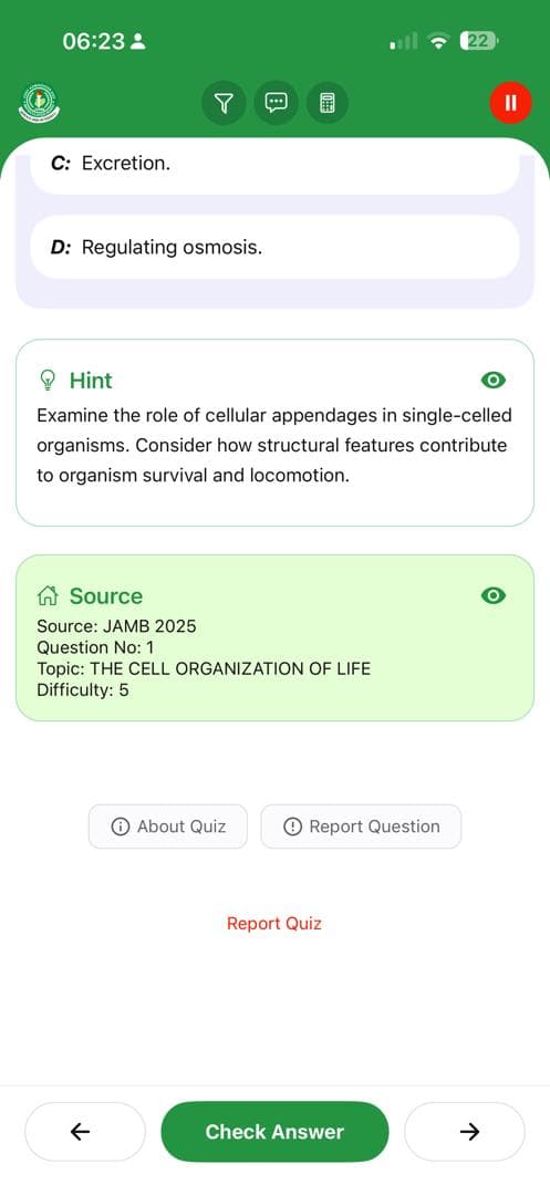 BrainBoost Feature 28